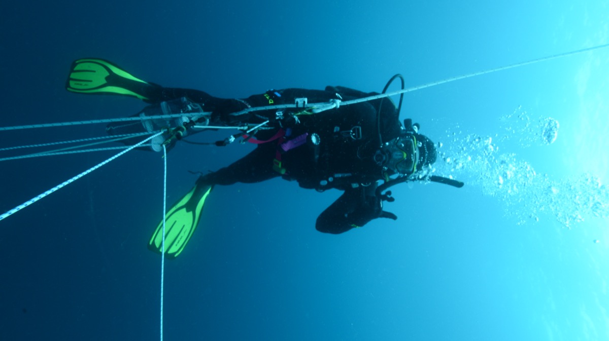 Scuba diving in open blue water for specimen collection
