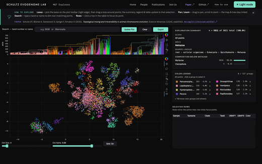 The MGT Explorer viewer: a phylogenetic tree above a UMAP scatter of genomes, with a summary and legend panel to the right.